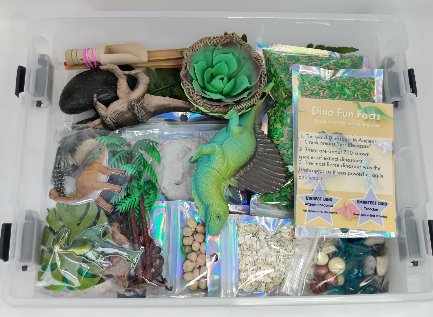 Dinosaur Sensory Bin