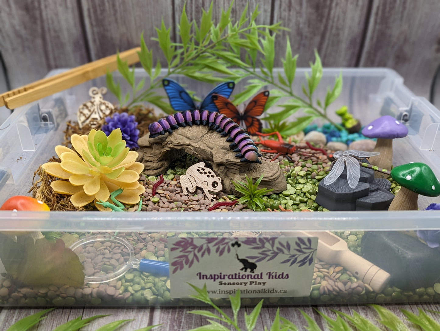 Creepy Crawlies Sensory Bin